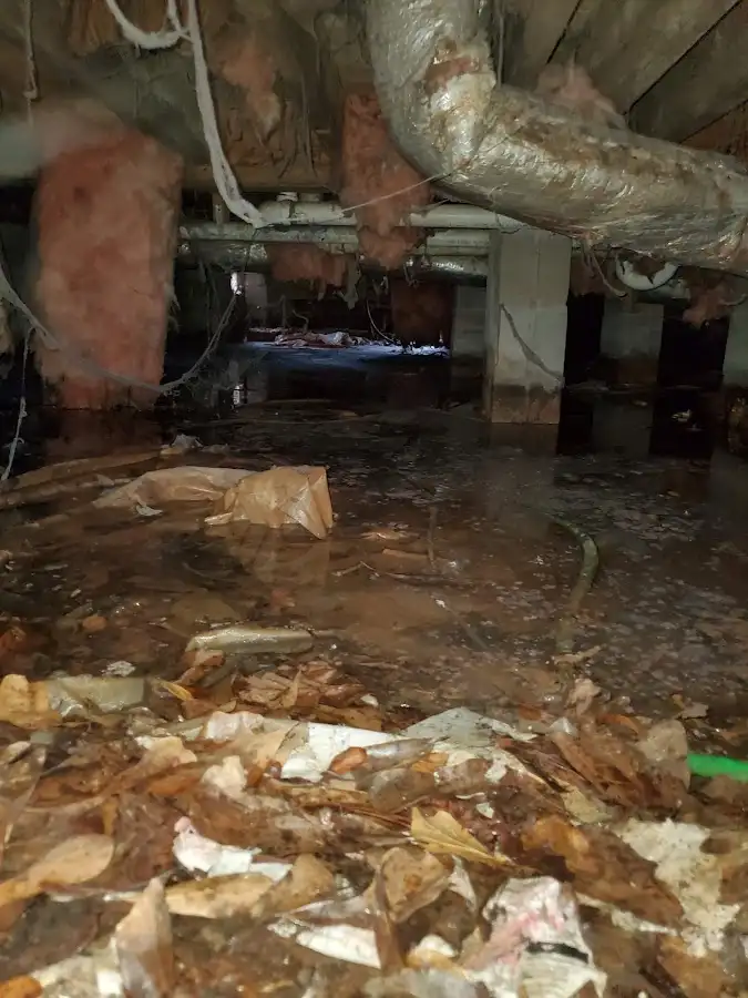 Crawl space flood assessment for Leak Detection & Repair in Burkburnett