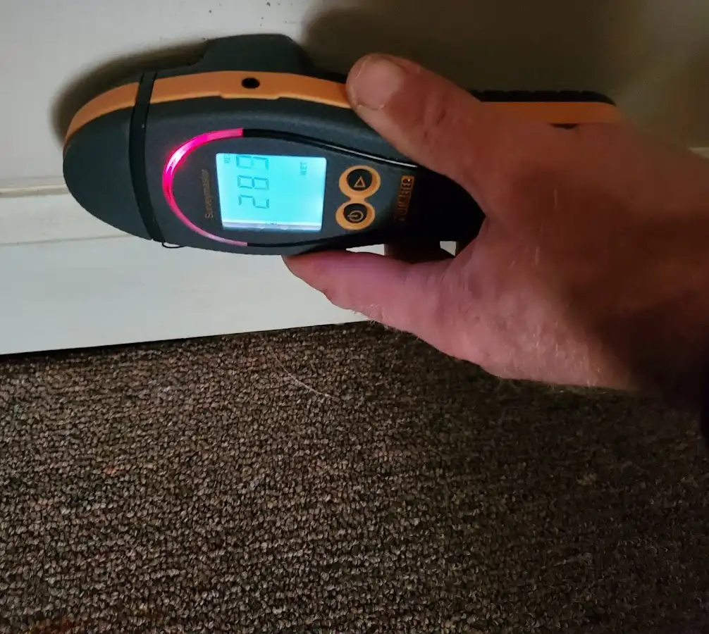 Moisture detection at baseboard during Mold Inspection & Testing in Burkburnett